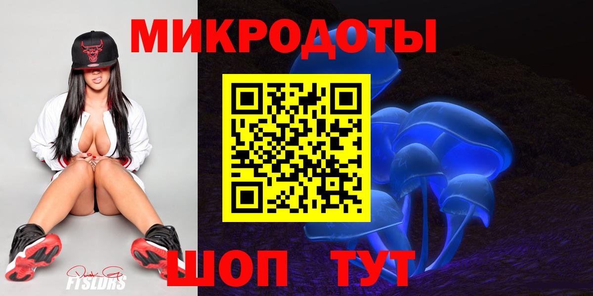 Псилоцибиновые грибы Psilocybine cubensis Балашов
