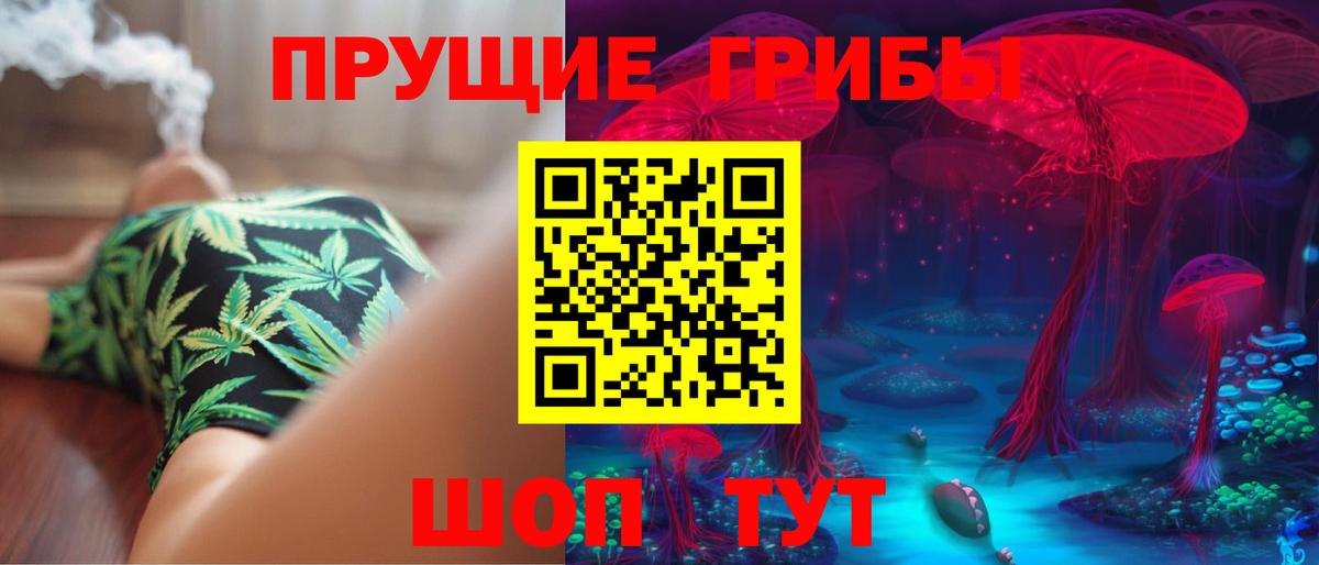 Балашов  где купить наркоту  Галлюциногенные грибы MAGIC MUSHROOMS  Вход с VPN  Галлюциногенные грибы Psilocybine cubensis 